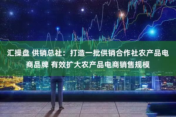 汇操盘 供销总社：打造一批供销合作社农产品电商品牌 有效扩大农产品电商销售规模
