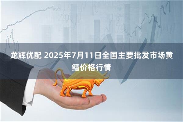 龙辉优配 2025年7月11日全国主要批发市场黄鳝价格行情