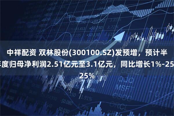 中祥配资 双林股份(300100.SZ)发预增，预计半年度归母净利润2.51亿元至3.1亿元，同比增长1%-25%