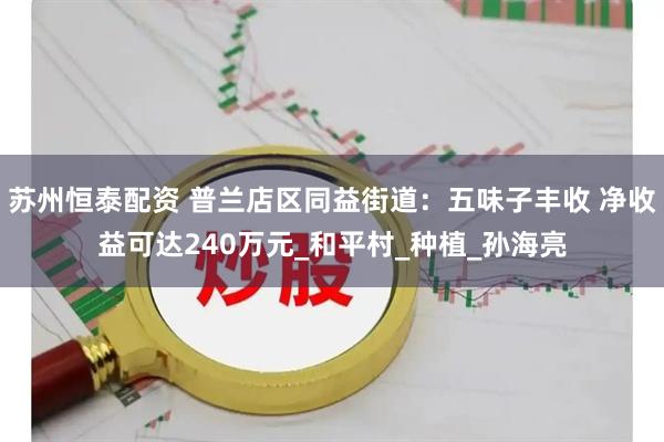 苏州恒泰配资 普兰店区同益街道：五味子丰收 净收益可达240万元_和平村_种植_孙海亮