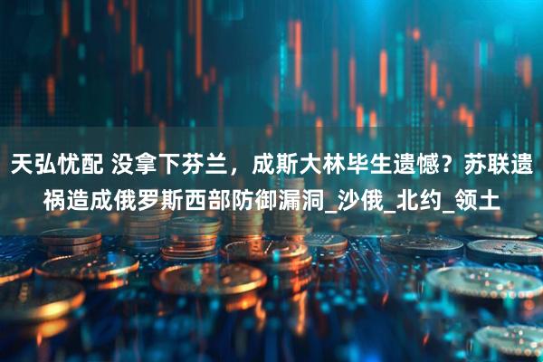 天弘忧配 没拿下芬兰，成斯大林毕生遗憾？苏联遗祸造成俄罗斯西部防御漏洞_沙俄_北约_领土