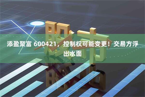 添盈聚富 600421，控制权可能变更！交易方浮出水面