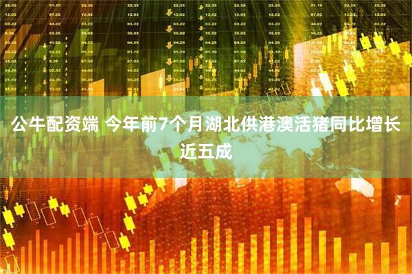 公牛配资端 今年前7个月湖北供港澳活猪同比增长近五成