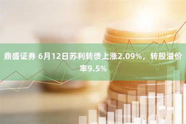 鼎盛证券 6月12日苏利转债上涨2.09%，转股溢价率9.5%