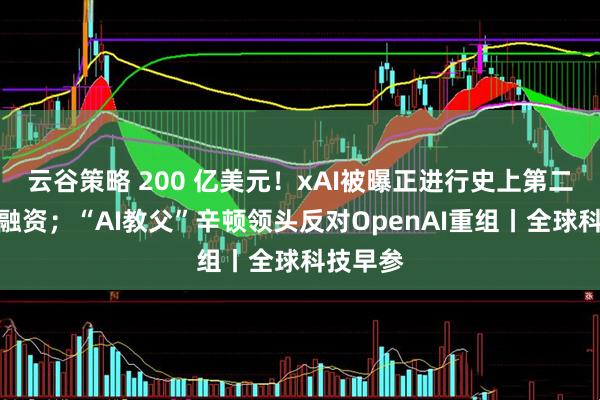 云谷策略 200 亿美元！xAI被曝正进行史上第二大初创融资；“AI教父”辛顿领头反对OpenAI重组丨全球科技早参