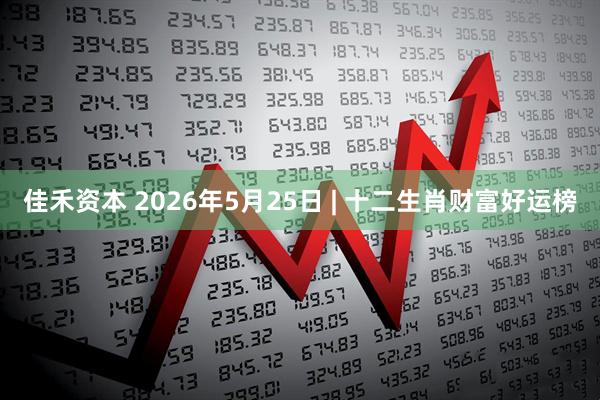 佳禾资本 2026年5月25日 | 十二生肖财富好运榜